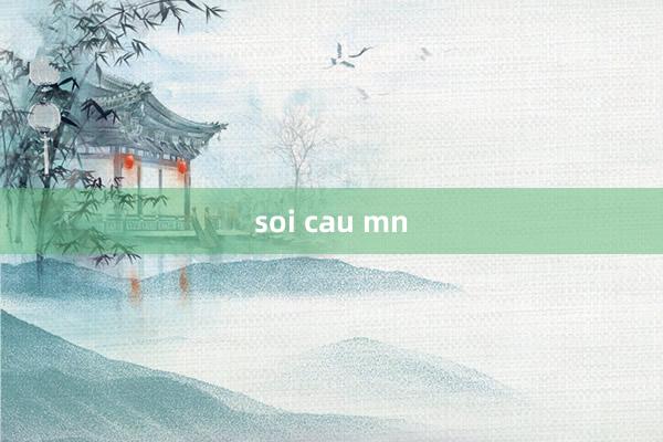 soi cau mn