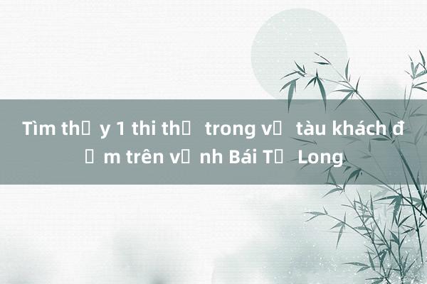 Tìm thấy 1 thi thể trong vụ tàu khách đắm trên vịnh Bái Tử Long