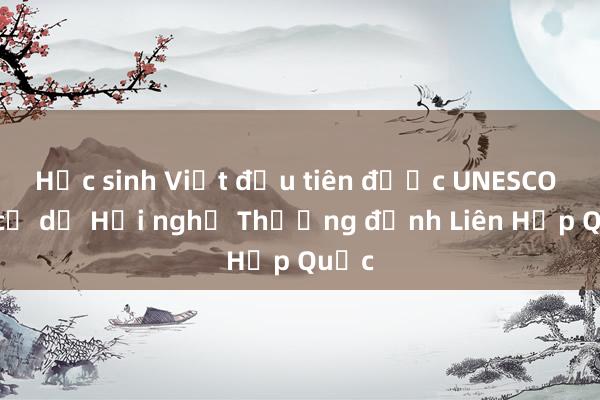 Học sinh Việt đầu tiên được UNESCO đề cử dự Hội nghị Thượng đỉnh Liên Hợp Quốc