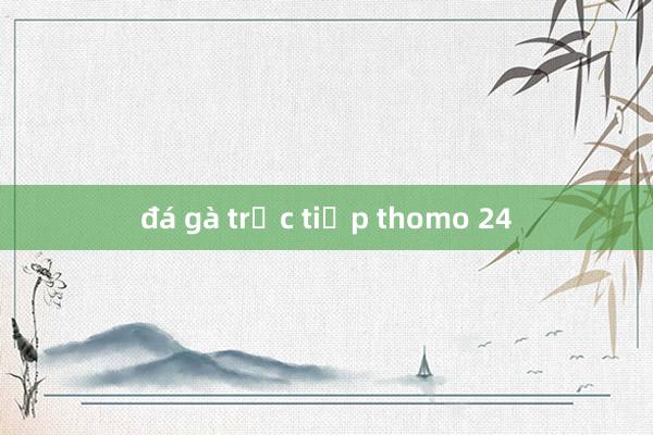 đá gà trực tiếp thomo 24