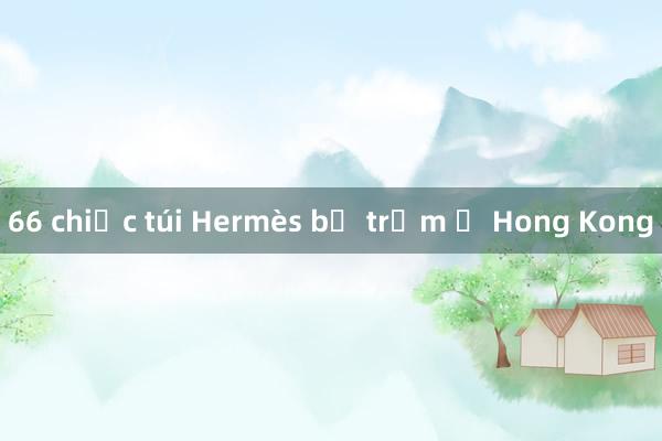 66 chiếc túi Hermès bị trộm ở Hong Kong