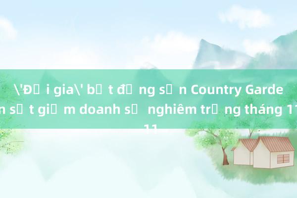 'Đại gia' bất động sản Country Garden sụt giảm doanh số nghiêm trọng tháng 11