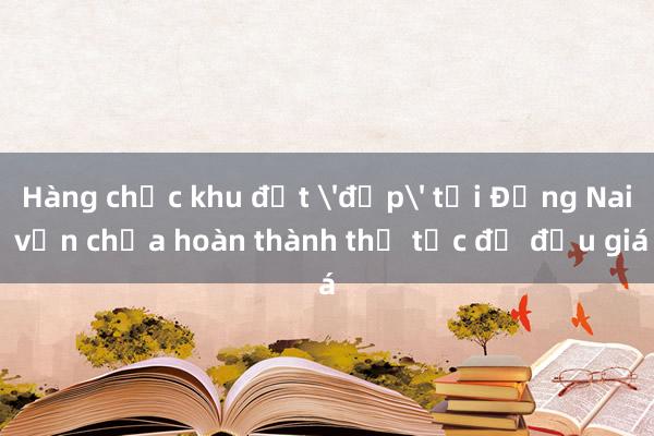 Hàng chục khu đất 'đẹp' tại Đồng Nai vẫn chưa hoàn thành thủ tục để đấu giá