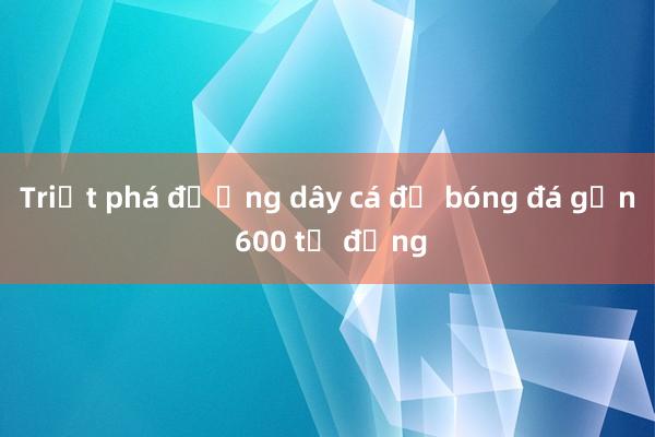 Triệt phá đường dây cá độ bóng đá gần 600 tỷ đồng