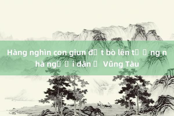 Hàng nghìn con giun đất bò lên tường nhà người dân ở Vũng Tàu