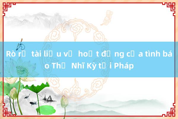 Rò rỉ tài liệu về hoạt động của tình báo Thổ Nhĩ Kỳ tại Pháp