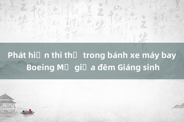 Phát hiện thi thể trong bánh xe máy bay Boeing Mỹ giữa đêm Giáng sinh