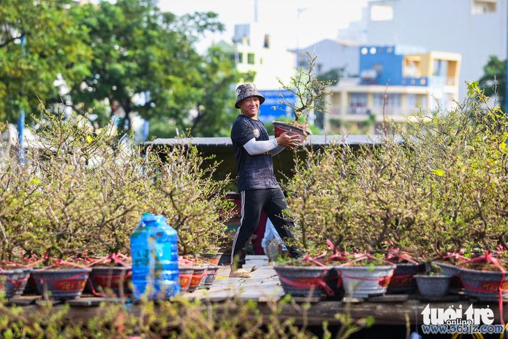 Chợ hoa ngày Tết， rất cần niêm yết giá công khai - Ảnh 1.